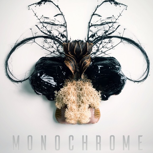 Monochrome - The Void - Julien Caraz