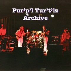 The Pur'p'l Turt'lz Archive