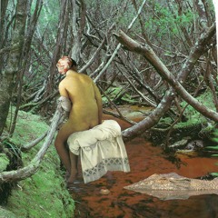 wiser(don't call me again) demo