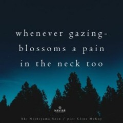 whenever Gazing (Naviarhaiku 348 )