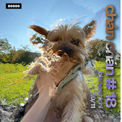 chán chán Nr. 18 w/ bianyachichi (19/11/24)
