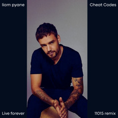 Liam payne, Cheat codes - Live forever (11015 tribute remix)