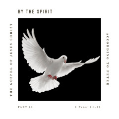 Voice Note for 20250205 - TheGospelofJesusChrist-Part63-1Peter1-ByTheSpirit