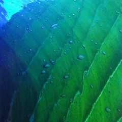 KaleiSoloscope (Excerpt Modul 2) Aylin Aykan - Two Pianos