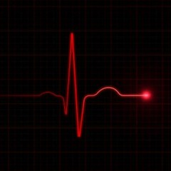 07. The Hartbits - Televizija I Ja