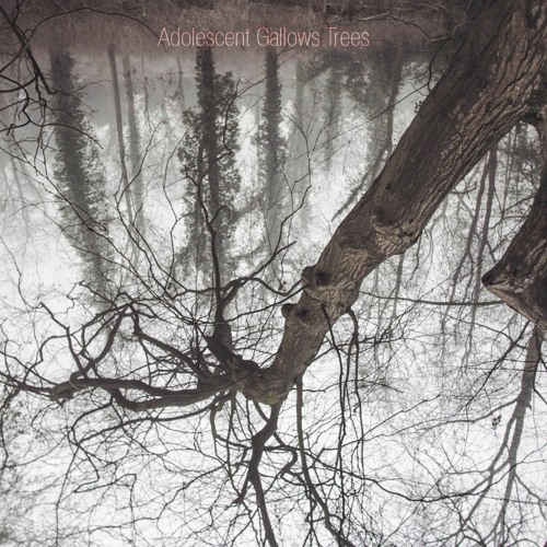 Adolescent Gallows Trees