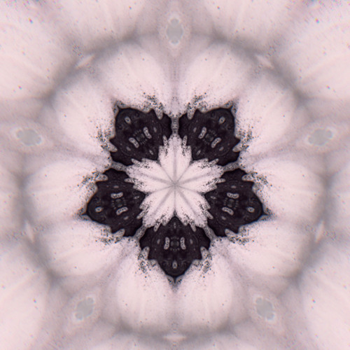 | HĒĄÐSPÏŅ |
