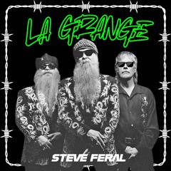 ZZ Top- La Grange (STEVE FERAL Melodic Techno Remix)