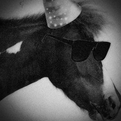 PARTY♘HORSE