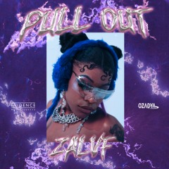 Pull out (feat. Kappa) - ZALVF