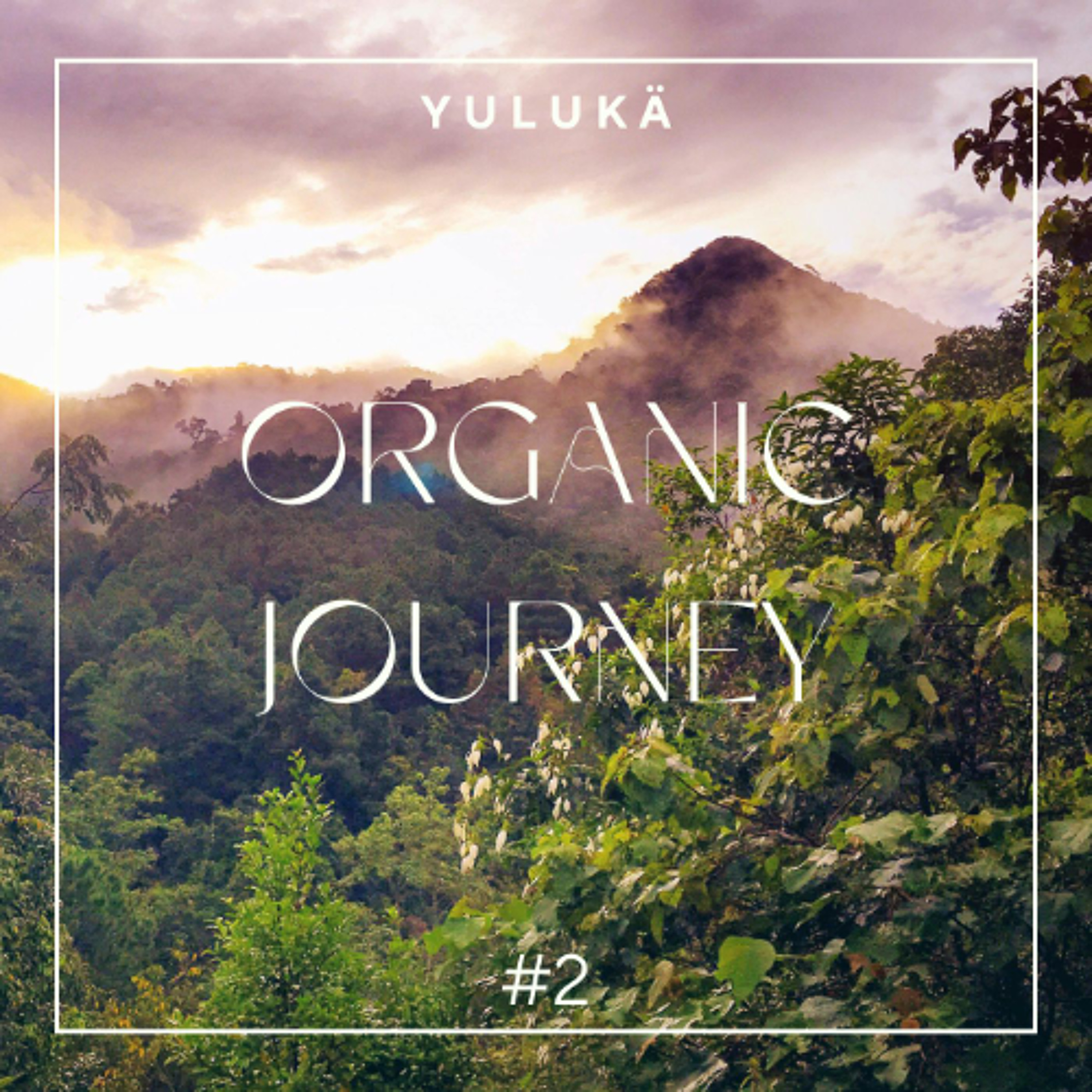 DJ Set Organic Journey #2 episode artwork