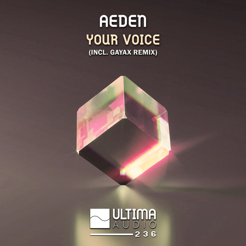 Aeden - Your Voice (Gayax Remix)