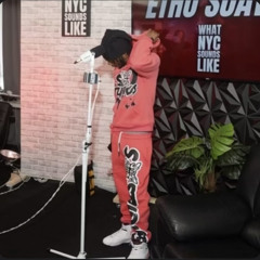 WHATNYCSOUNDSLIKE FREESTYLE