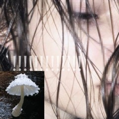 slattymercilessclown26th - lonelydrug (prod. Shiny Megami)(DMC)