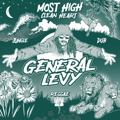 General Levy - Most High (Clean Heart) (Ariwa Style)