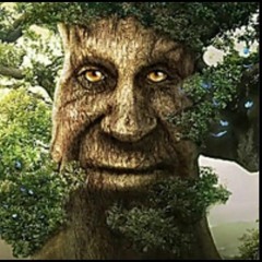 Arath - Avarsthending enedh Heroden (2013)