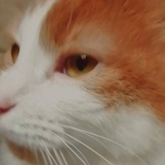 YSY A - Una de Dos (prod. Club Hats) _ _YSYA2020