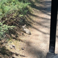 john bap best highlights 2025