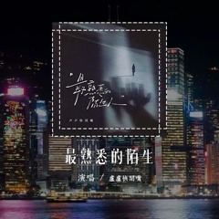 卢卢快闭嘴 - 最熟悉的陌生人 (原唱：萧亚轩)「我们变成了世上 最熟悉的陌生人，今后各自曲折 各自悲哀」(4k Video)【動態歌詞/pīn yīn gē cí】#卢卢快闭嘴 #最熟悉的陌生人