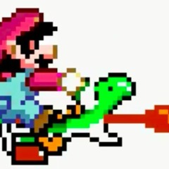 Yoshi Track (That bag)