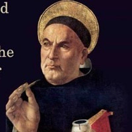 Fr. Sebastian Walshe Metaphysics In Aquinas And Aristotle