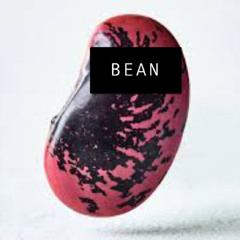 Bean (interlude)