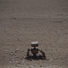 Desolate Machine