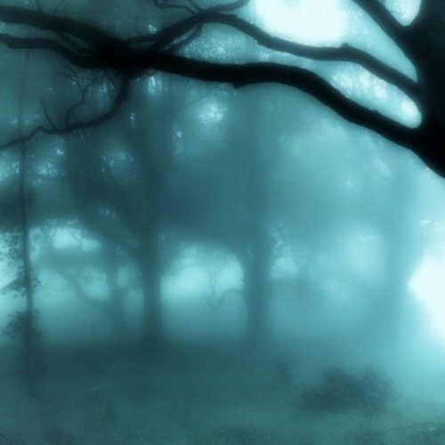 Rollout Freestyle Pt 2 (Prod. Frustration)