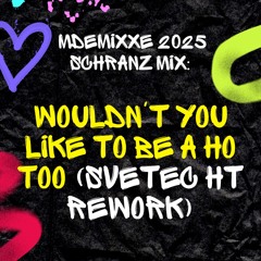 ❤️‍🔥 MDEMIXXE 2025 SCHRANZ MIX: Wouldn't You Like To Be a Ho Too (SveTec HT Rework)