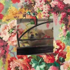 ลาก่อน - BOWKYLION
