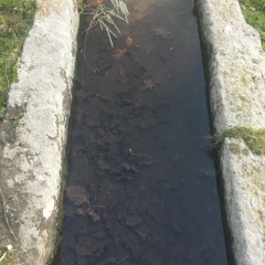 Leat In Ore Hill Field 4 January 2022