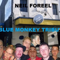 Blue Monkey Tribute - Neil Foreel 1/1/25