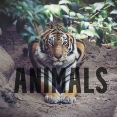 Maroon 5 - Animals (BaconChedda Remix)