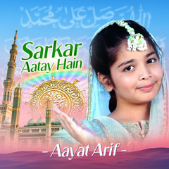 Sarkar Aatay Hain