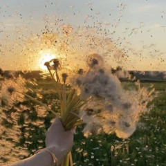 dandelion - ariana grande [audio edit]