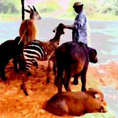 Safari Friends