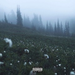 Meadows (Prod. JTRN x Brando x Just1)