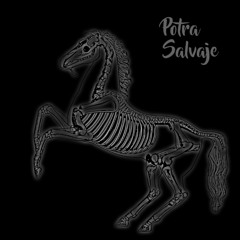 Potra Salvaje Version Pop