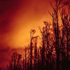 hexed me og - strange and frössy (prod. Krxxk)