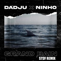 Dadju Feat Ninho - Grand Bain ( ST3F Remix)
