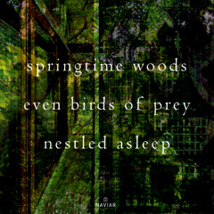The Sixth Asleep [naviarhaiku565]