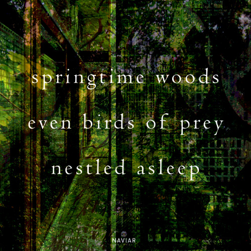 The Sixth Asleep [naviarhaiku565]