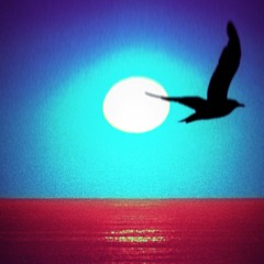 Fly My Love