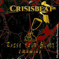 Raise Your Glass ( Crisisbeat Remix) Vip