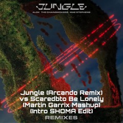 [Pitch+3] Jungle (Arcando Remix) vs Scaredbto Be Lonely (Martin Garrix Mashup) (Intro SHOMA Edit)