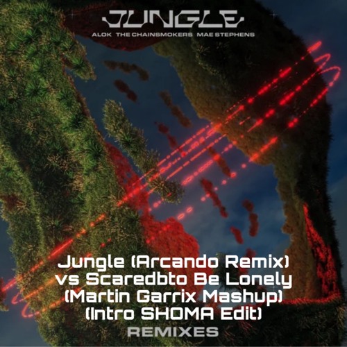 [Pitch+3] Jungle (Arcando Remix) vs Scaredbto Be Lonely (Martin Garrix Mashup) (Intro SHOMA Edit)