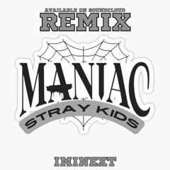 Stray Kids - Maniac (Remix)