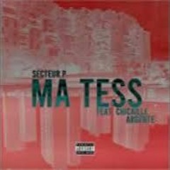 Ma Tess (feat. Secteur P)
