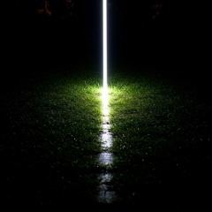 In The Hope