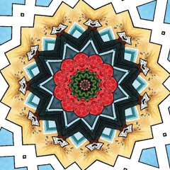 Cosmic Evolution    (2025)